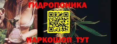 сатива Волжский