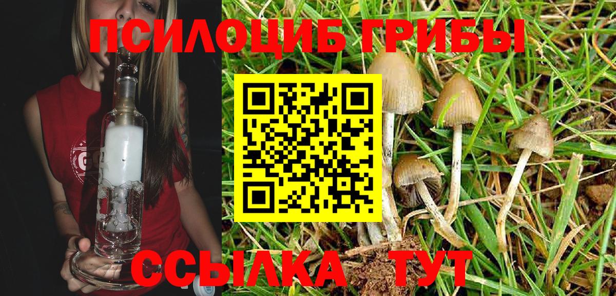 Псилоцибиновые грибы MAGIC MUSHROOMS Ливны