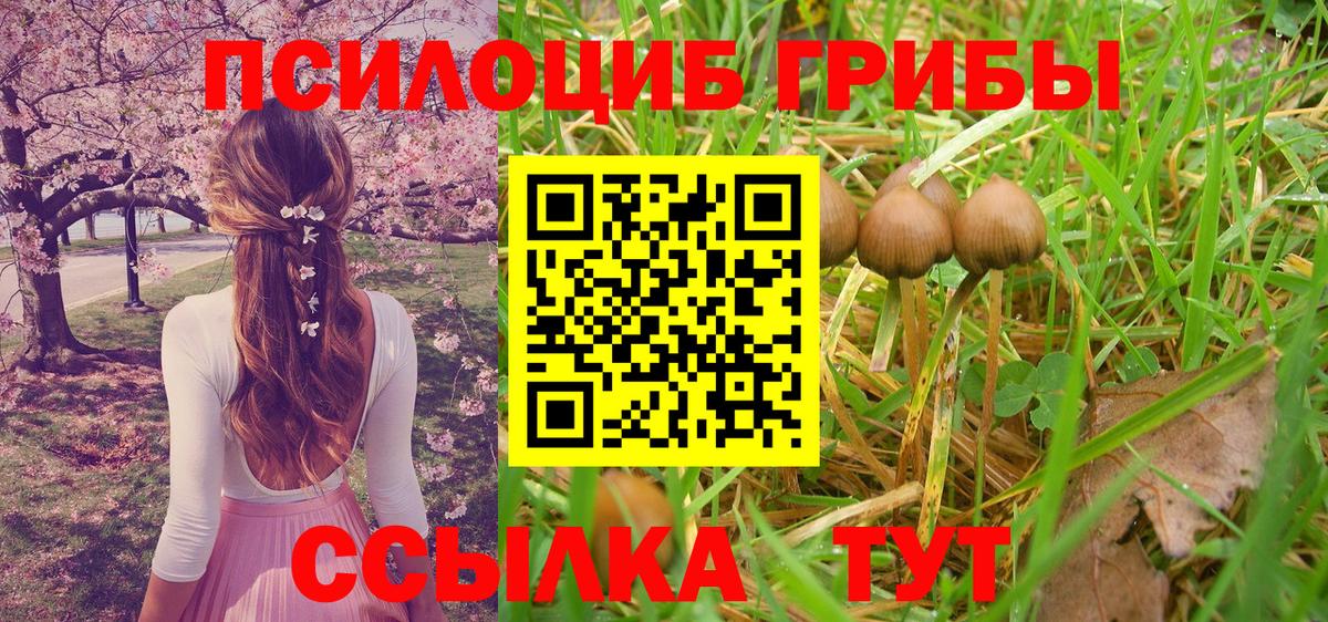 Галлюциногенные грибы мицелий  где купить наркоту  Ливны 