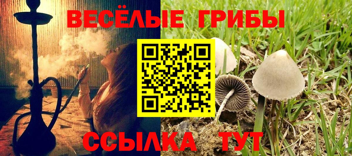 Псилоцибиновые грибы Psilocybine cubensis  Вход с VPN  Ливны  Галлюциногенные грибы ЛСД 